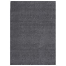 Washable Rug Fluffy Short Pile 63" x 90.6" Anti Slip Anthracite