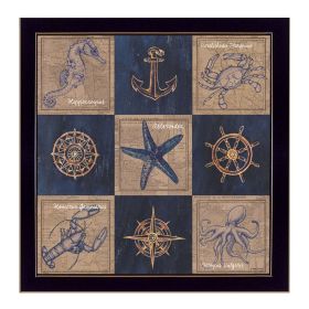 Black Framed "Coastal Collage I" By Debbie DeWitt