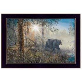 Black Framed "Shadow in the Mist" By Jim Hansen