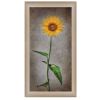Beige Framed "Sunflower I" By Lori Deiter, Printed Wall Art