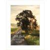 White Framed "Don't Look Back by Lori Deiter"