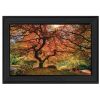 Black Framed "First Colors of Fall I" by Moises Levy