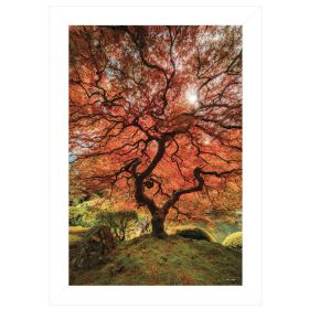 White Framed "First Colors of Fall II" by Moises Levy