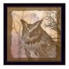 Black Framed "Owl" By Barb Tourtillotte, Ready To Hang