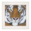 White Framed "Tiger Gaze" by Britt Hallowell, Ready to Hang