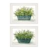 White Framed "Farm Market Bouquet"  by Cindy Jacobs