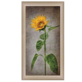Beige Framed "Sunflower II" By Lori Deiter,  Ready To Hang