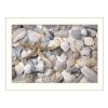 White Framed "Starfish and Seashell" By Lori Deiter