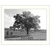 White Framed "Success" By Trendy Decor4U, Printed Wall Art
