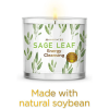 Sage Leaf Large Glass Candle 14oz, Woody & Earthy Scented