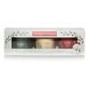 Yankee -Balsam & Cedar, Christmas Cookie, Red Apple Wreath