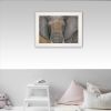 White Framed "Tattooed Elephant" by Britt Hallowell