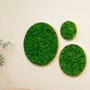 Round Framed Moss Wall Decor, Only The Large pc, 24"