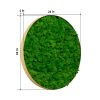 Round Framed Moss Wall Decor, Only The Large pc, 24"