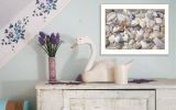 White Framed "Starfish and Seashell" By Lori Deiter