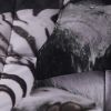 White Tiger 3D Reactive Print All Season Comforter Set Twin-s14