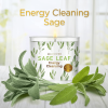 Sage Leaf Large Glass Candle 14oz, Woody & Earthy Scented