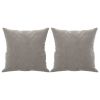 Throw Pillows 2 pcs Light Gray 15.7" x 15.7" Velvet