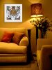White Framed "Tiger Gaze" by Britt Hallowell, Ready to Hang