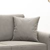 Throw Pillows 2 pcs Light Gray 15.7" x 15.7" Velvet