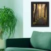 Black Framed "After The Rain" By Robin-Lee Vieira