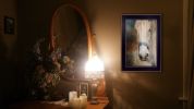Black Framed "Old Gray Mare" By Robin-Lee Vieira
