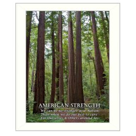 White Framed "American Strength" By Trendy Decor4U (Option: Color)